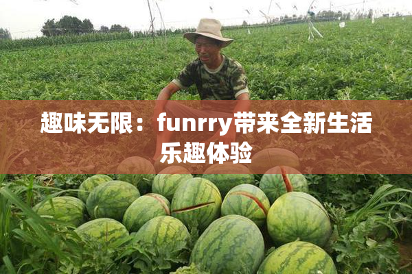 趣味无限：funrry带来全新生活乐趣体验