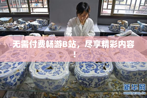 无需付费畅游B站，尽享精彩内容！