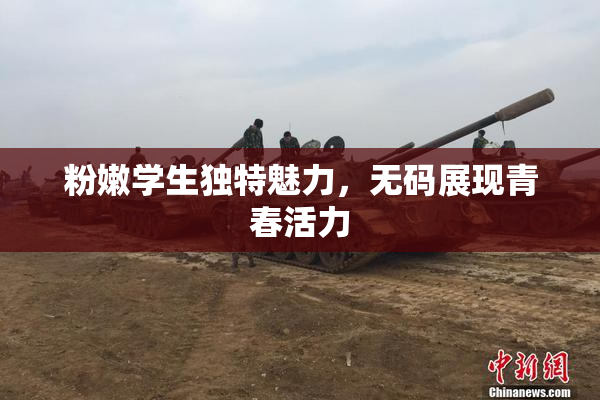 粉嫩学生独特魅力，无码展现青春活力
