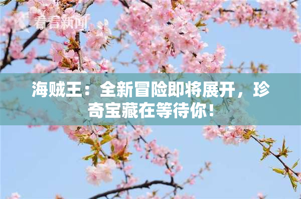 海贼王：全新冒险即将展开，珍奇宝藏在等待你！
