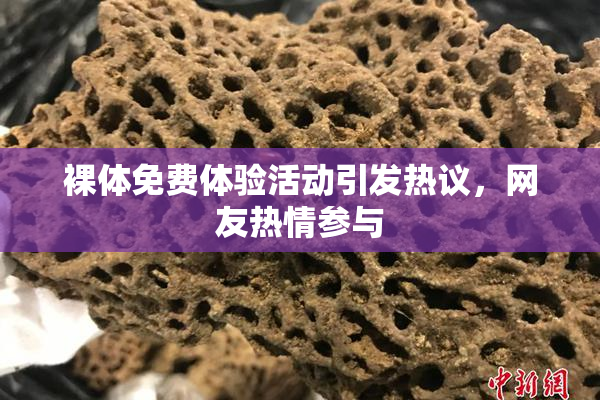 裸体免费体验活动引发热议，网友热情参与
