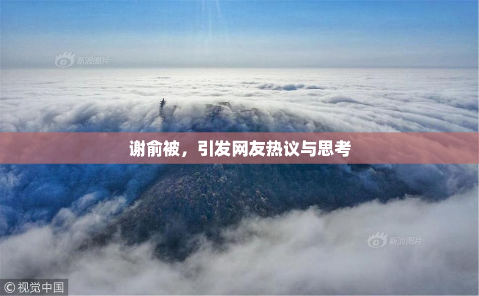 谢俞被，引发网友热议与思考