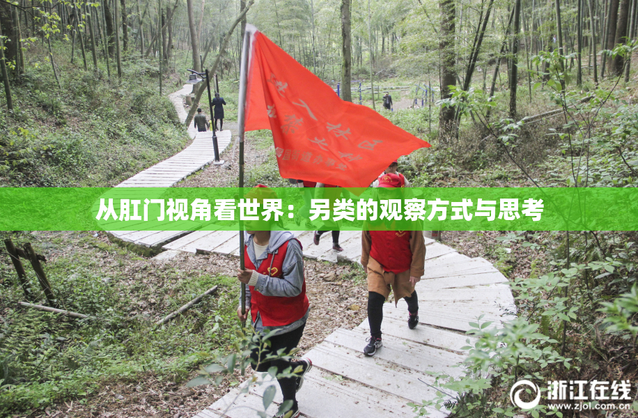 从肛门视角看世界：另类的观察方式与思考