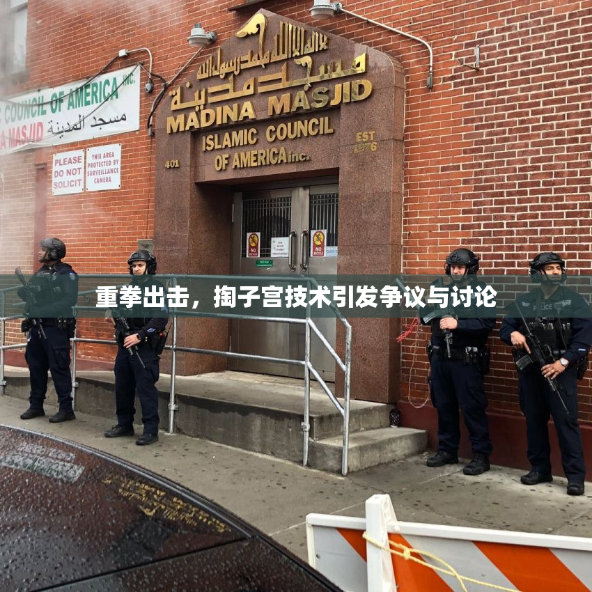 重拳出击，掏子宫技术引发争议与讨论