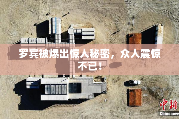 罗宾被爆出惊人秘密，众人震惊不已！