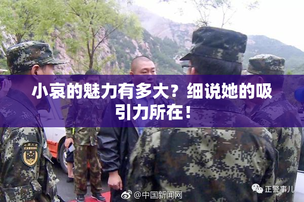 小哀的魅力有多大？细说她的吸引力所在！