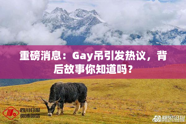 重磅消息：Gay吊引发热议，背后故事你知道吗？