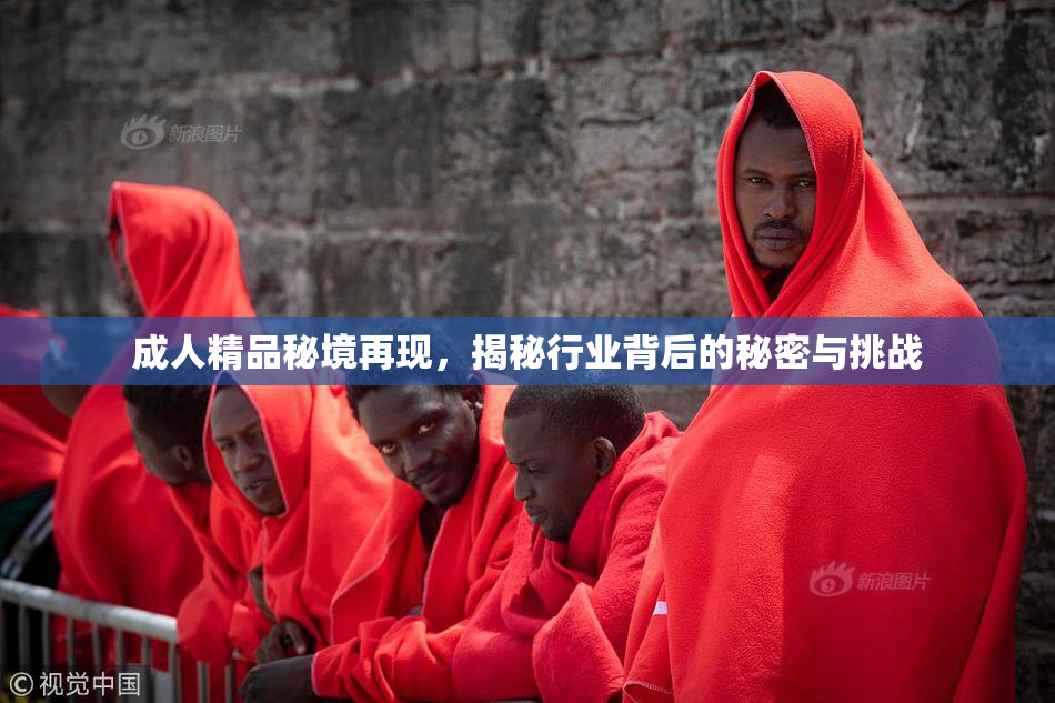 成人精品秘境再现，揭秘行业背后的秘密与挑战