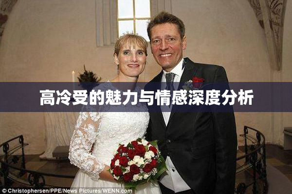 高冷受的魅力与情感深度分析