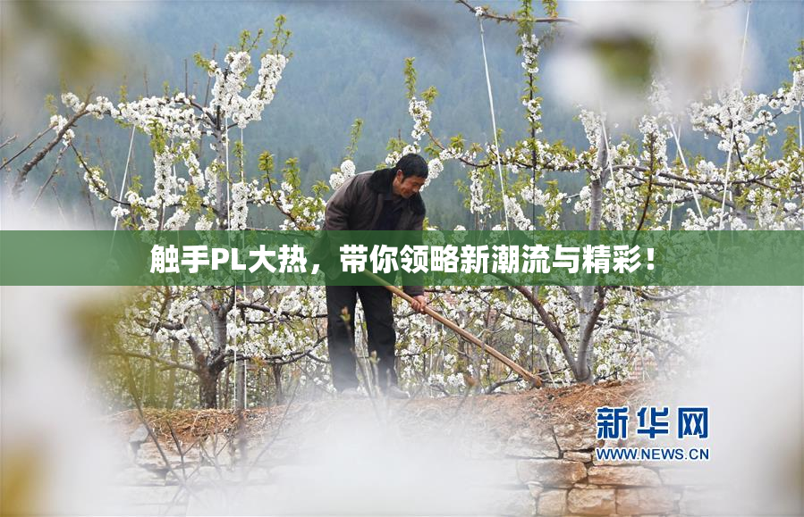 触手PL大热，带你领略新潮流与精彩！