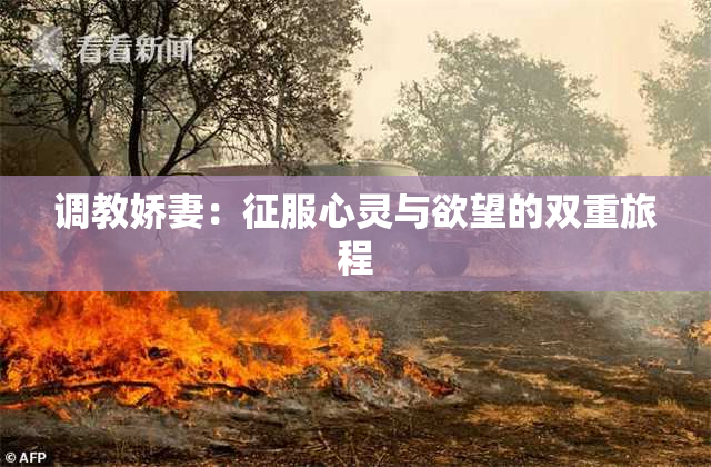 调教娇妻：征服心灵与欲望的双重旅程