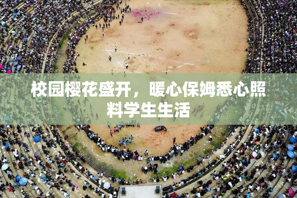 校园樱花盛开，暖心保姆悉心照料学生生活