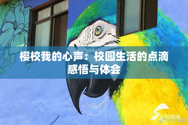 樱校我的心声：校园生活的点滴感悟与体会