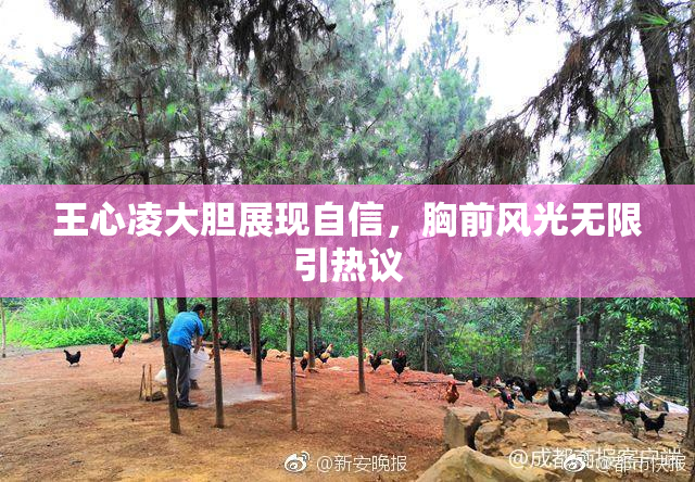 王心凌大胆展现自信，胸前风光无限引热议