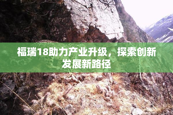 福瑞18助力产业升级，探索创新发展新路径
