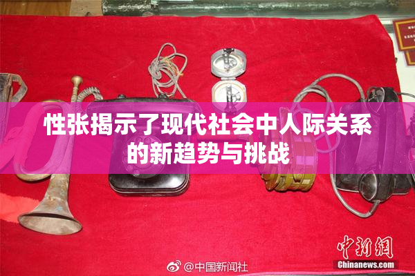 性张揭示了现代社会中人际关系的新趋势与挑战