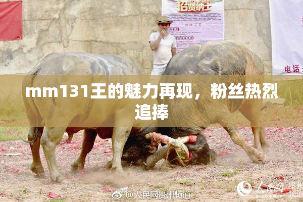 mm131王的魅力再现，粉丝热烈追捧
