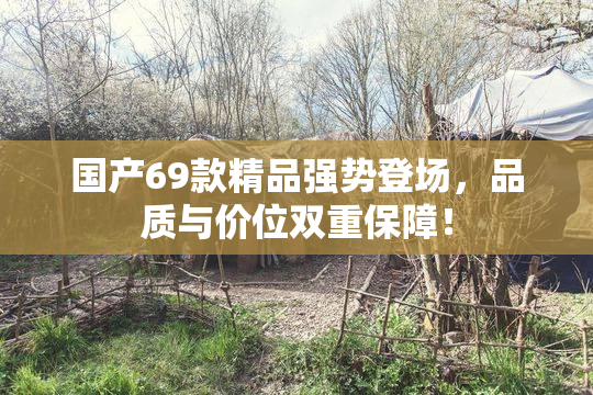 国产69款精品强势登场，品质与价位双重保障！