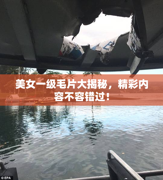 美女一级毛片大揭秘，精彩内容不容错过！