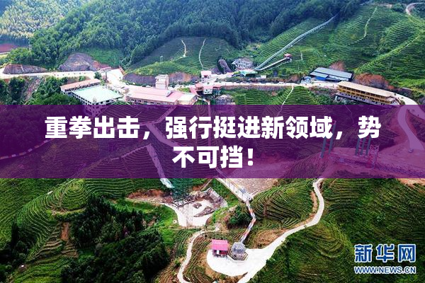 重拳出击，强行挺进新领域，势不可挡！