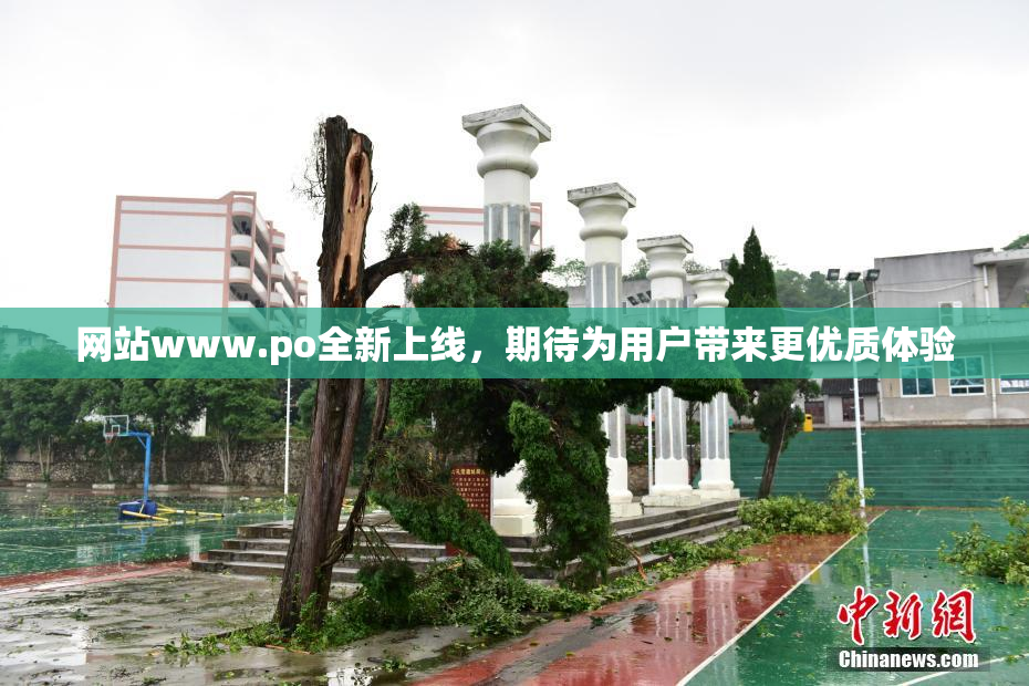 网站www.ро全新上线，期待为用户带来更优质体验