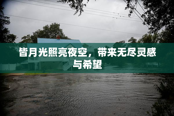 皆月光照亮夜空，带来无尽灵感与希望