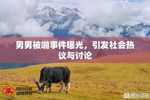 男男被啪事件曝光，引发社会热议与讨论