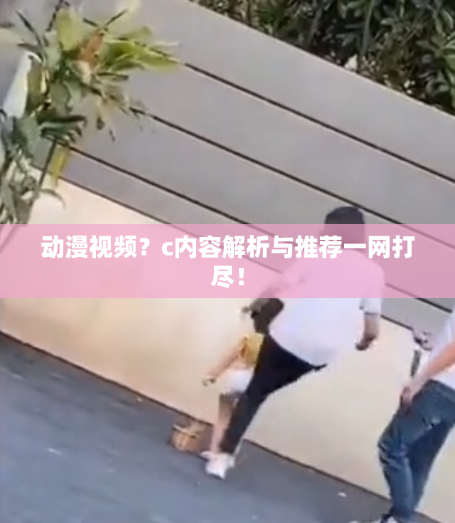 动漫视频？c内容解析与推荐一网打尽！