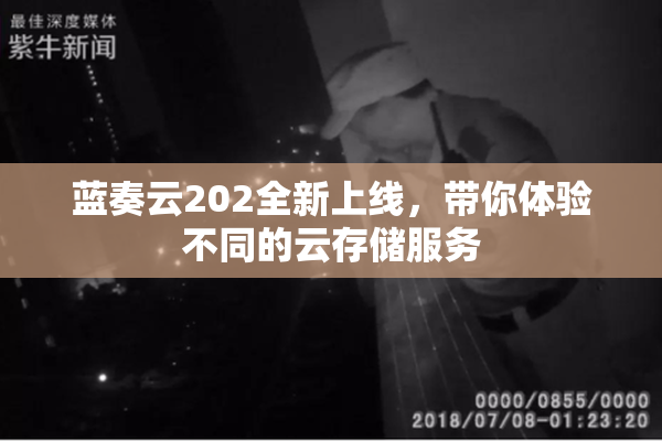 蓝奏云202全新上线，带你体验不同的云存储服务