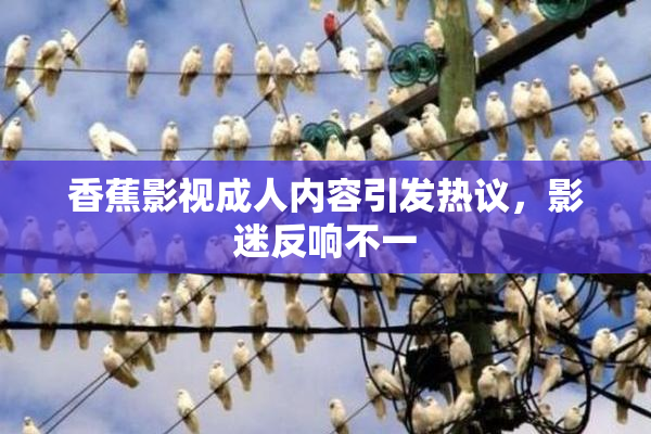 香蕉影视成人内容引发热议，影迷反响不一