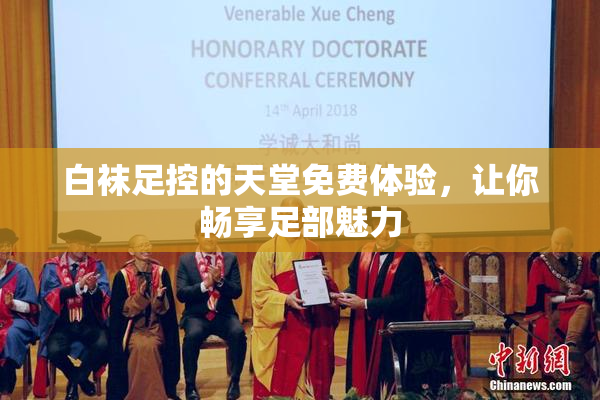 白袜足控的天堂免费体验，让你畅享足部魅力