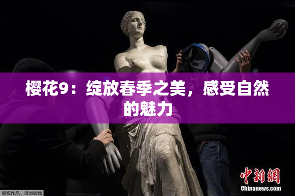 樱花9：绽放春季之美，感受自然的魅力