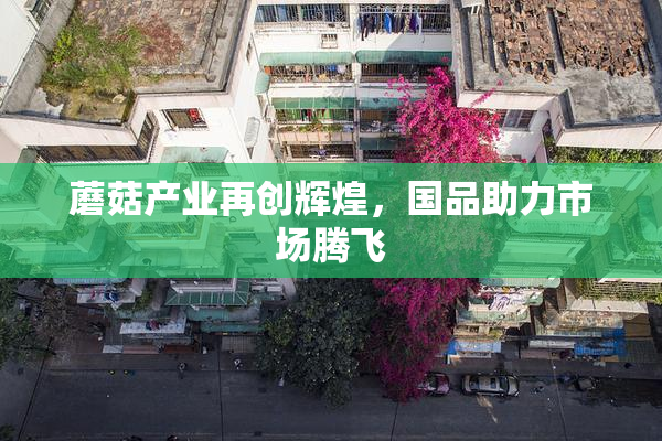 蘑菇产业再创辉煌，国品助力市场腾飞