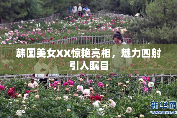 韩国美女XX惊艳亮相，魅力四射引人瞩目