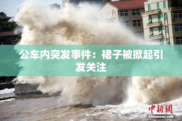 公车内突发事件：裙子被掀起引发关注