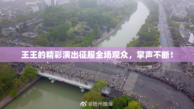 王王的精彩演出征服全场观众，掌声不断！