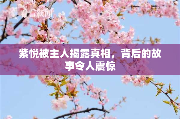 紫悦被主人揭露真相，背后的故事令人震惊