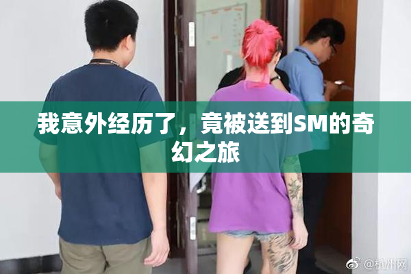 我意外经历了，竟被送到SM的奇幻之旅