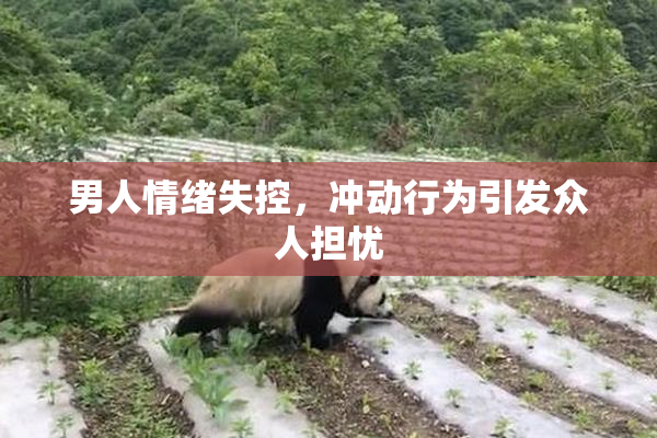 男人情绪失控，冲动行为引发众人担忧