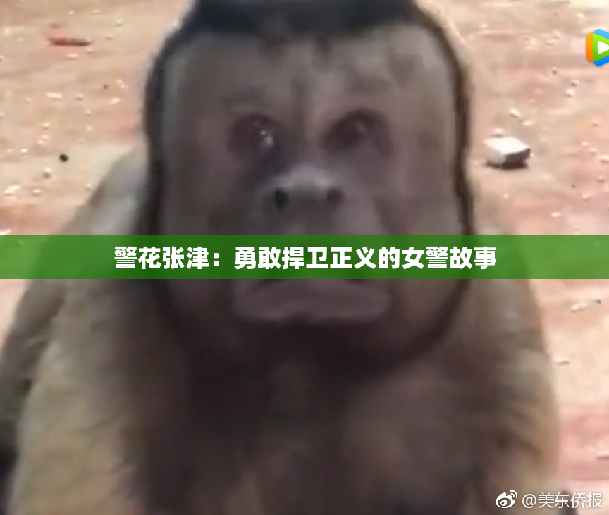 警花张津：勇敢捍卫正义的女警故事
