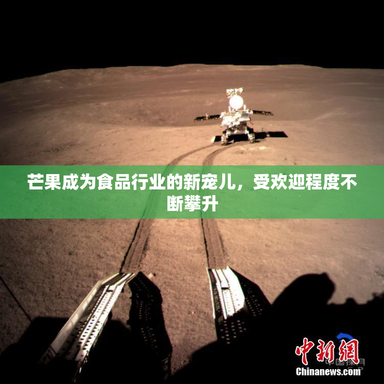 芒果成为食品行业的新宠儿，受欢迎程度不断攀升