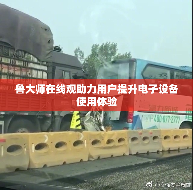 鲁大师在线观助力用户提升电子设备使用体验