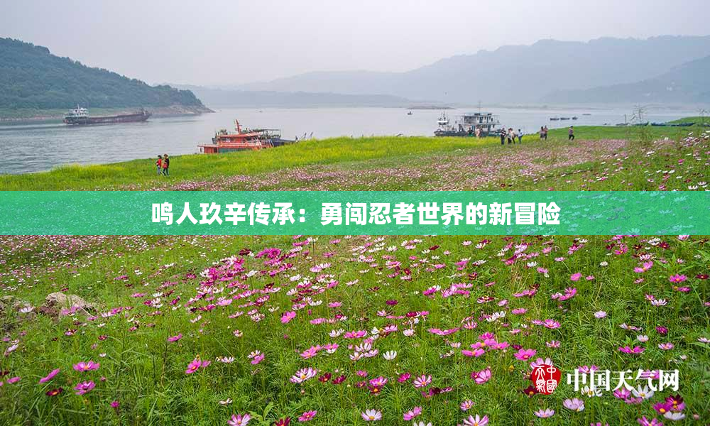 鸣人玖辛传承：勇闯忍者世界的新冒险