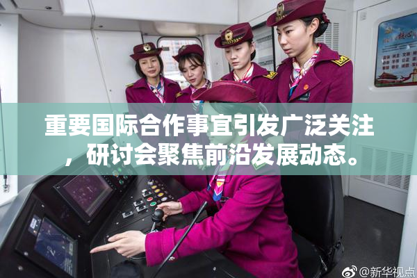 重要国际合作事宜引发广泛关注，研讨会聚焦前沿发展动态。
