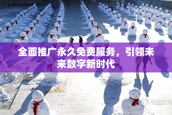 全面推广永久免费服务，引领未来数字新时代