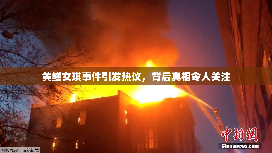 黄鳝女琪事件引发热议，背后真相令人关注