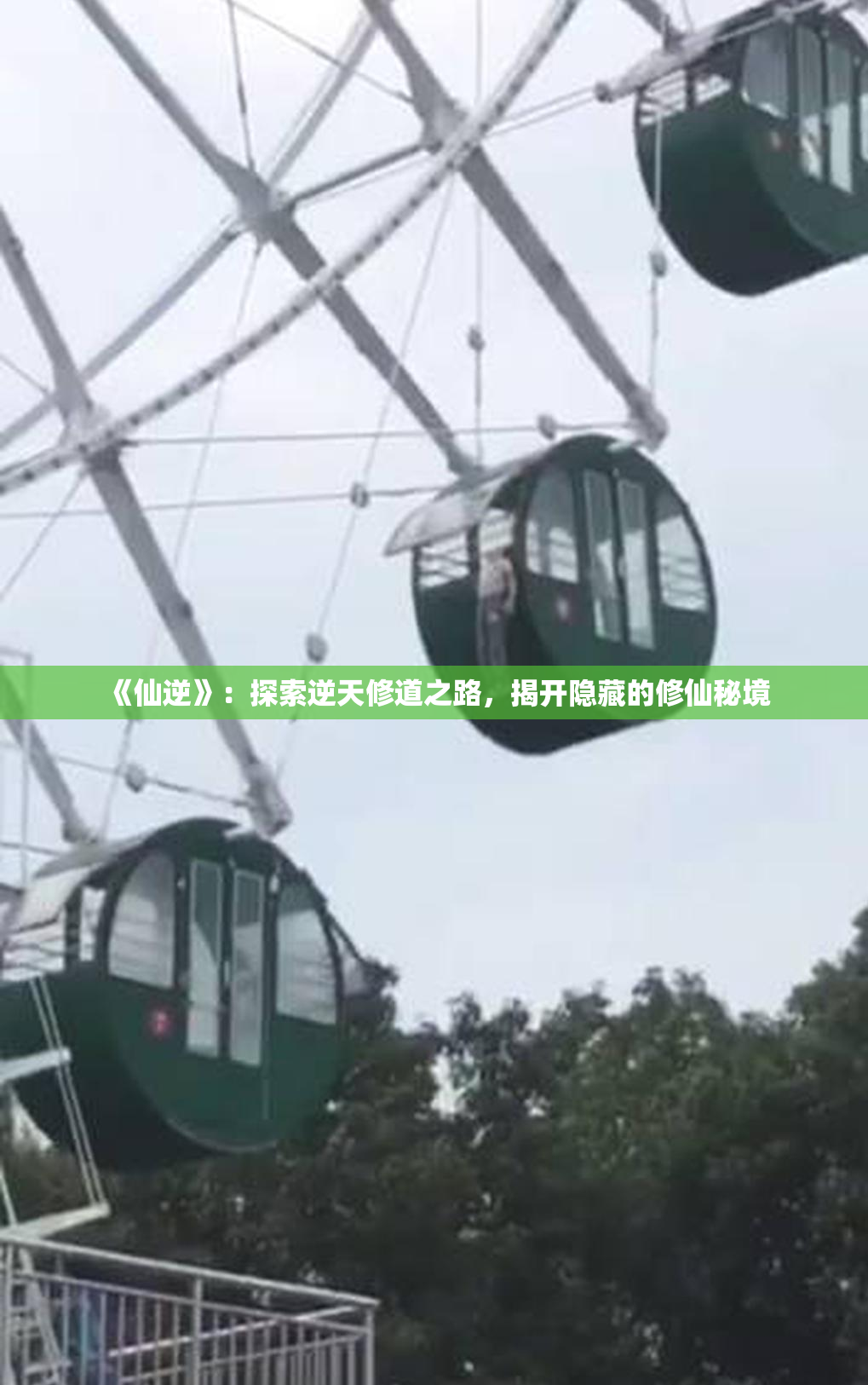 《仙逆》：探索逆天修道之路，揭开隐藏的修仙秘境
