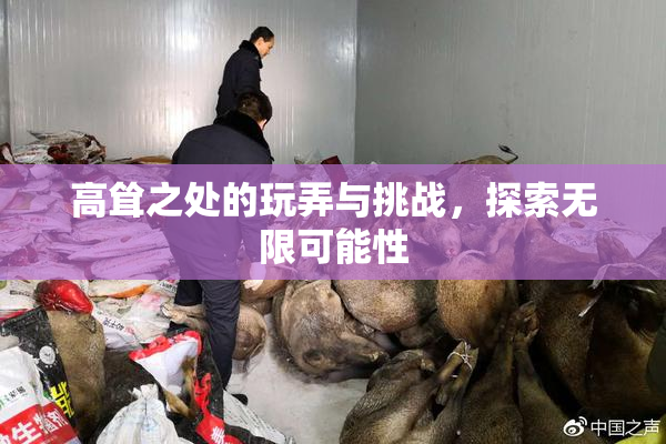 高耸之处的玩弄与挑战，探索无限可能性