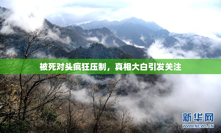 被死对头疯狂压制，真相大白引发关注