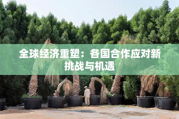 全球经济重塑：各国合作应对新挑战与机遇